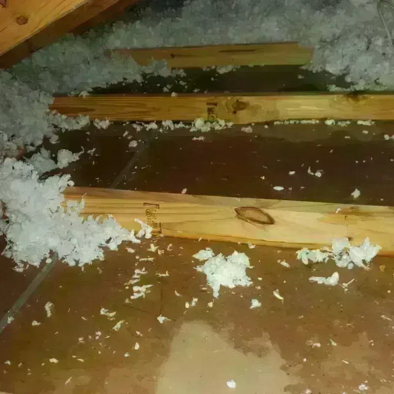 Attic Water Damage in Giles County, TN